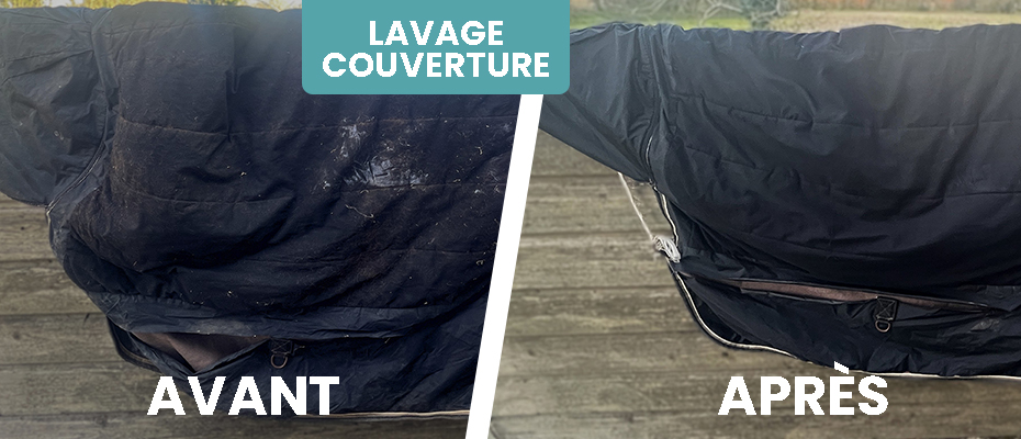 Lavage couverture Cheval La Rochelle