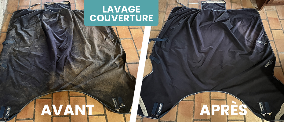 Lavage couverture Cheval La Rochelle