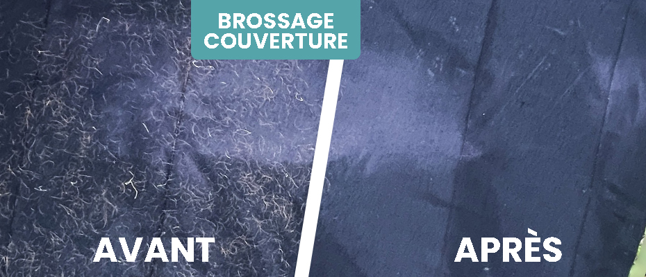 Lavage couverture Cheval La Rochelle